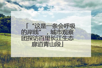 “这是一条会呼吸的岸线”，城市观察团探访百里长江生态廊道青山段