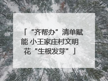 “齐帮办”清单赋能 小王家庄村文明花“生根发芽”