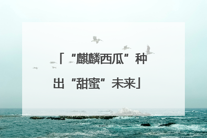“麒麟西瓜”种出“甜蜜”未来