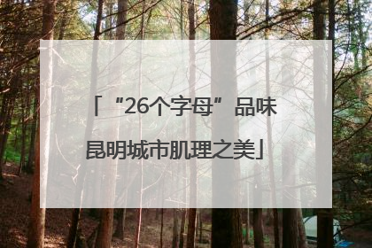 “26个字母”品味昆明城市肌理之美