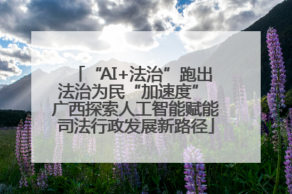 “AI+法治”跑出法治为民“加速度” 广西探索人工智能赋能司法行政发展新路径
