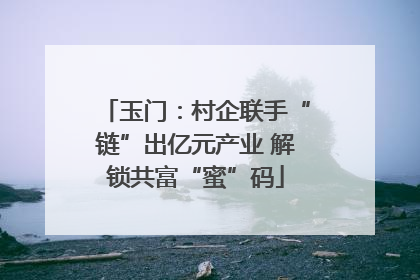 玉门：村企联手“链”出亿元产业 解锁共富“蜜”码