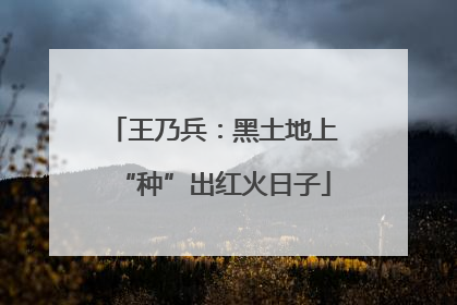 王乃兵：黑土地上“种”出红火日子