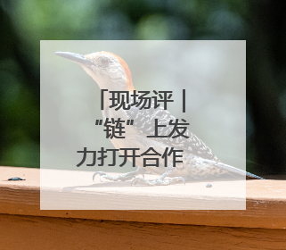 现场评｜“链”上发力打开合作新空间