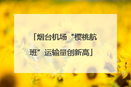 烟台机场“樱桃航班”运输量创新高