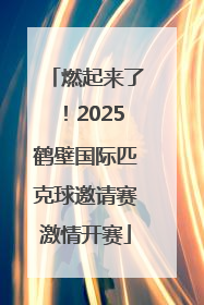 燃起来了！2025鹤壁国际匹克球邀请赛激情开赛