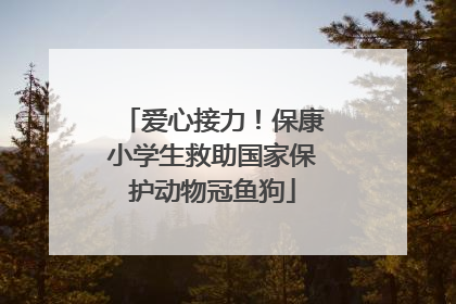 爱心接力！保康小学生救助国家保护动物冠鱼狗