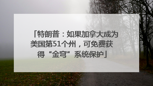 特朗普：如果加拿大成为美国第51个州，可免费获得“金穹”系统保护