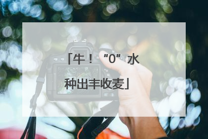 牛！“0”水种出丰收麦