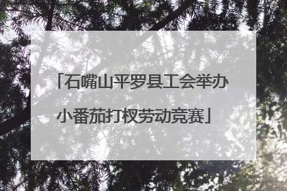 石嘴山平罗县工会举办小番茄打杈劳动竞赛