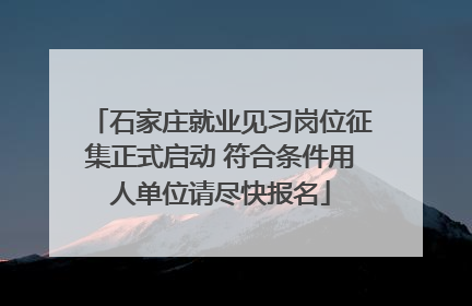 石家庄就业见习岗位征集正式启动 符合条件用人单位请尽快报名