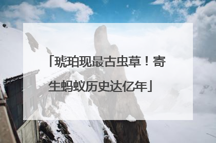琥珀现最古虫草！寄生蚂蚁历史达亿年