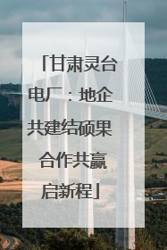 甘肃灵台电厂：地企共建结硕果 合作共赢启新程
