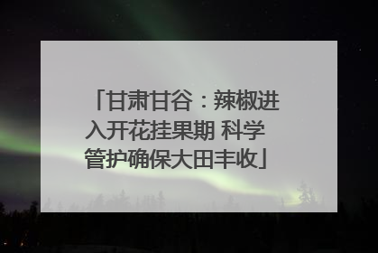 甘肃甘谷：辣椒进入开花挂果期 科学管护确保大田丰收
