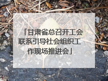 甘肃省总召开工会联系引导社会组织工作现场推进会