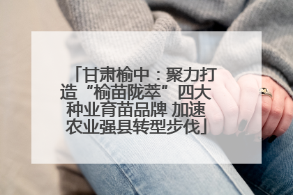 甘肃榆中：聚力打造“榆苗陇萃”四大种业育苗品牌 加速农业强县转型步伐