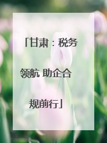 甘肃：税务领航 助企合规前行