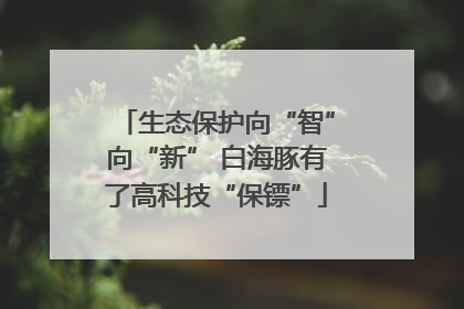 生态保护向“智”向“新” 白海豚有了高科技“保镖”