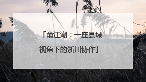 甬江潮：一座县域视角下的浙川协作