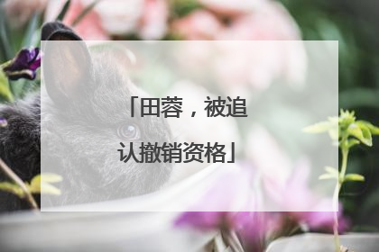 田蓉，被追认撤销资格