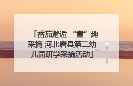 番茄邂逅 “童”趣采摘 河北唐县第二幼儿园研学采摘活动