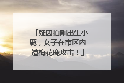 疑因拍刚出生小鹿，女子在市区内遭梅花鹿攻击！