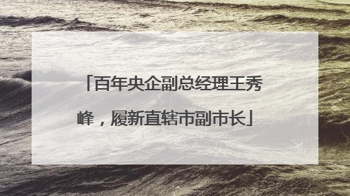 百年央企副总经理王秀峰，履新直辖市副市长