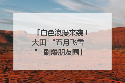 白色浪漫来袭！大田 “五月飞雪” 刷爆朋友圈