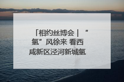 相约丝博会｜“氢”风徐来 看西咸新区泾河新城氢能产业聚链成势