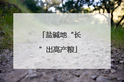 盐碱地“长”出高产粮
