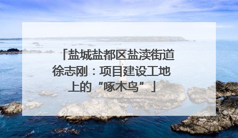 盐城盐都区盐渎街道徐志刚：项目建设工地上的“啄木鸟”