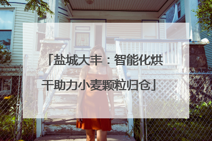 盐城大丰：智能化烘干助力小麦颗粒归仓