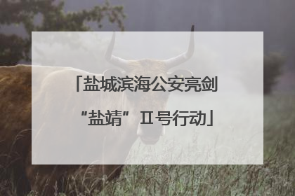 盐城滨海公安亮剑“盐靖”Ⅱ号行动