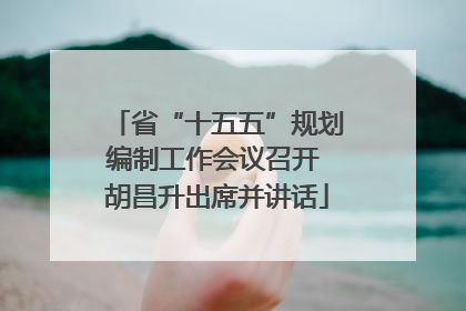 省“十五五”规划编制工作会议召开 胡昌升出席并讲话