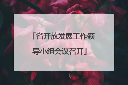 省开放发展工作领导小组会议召开