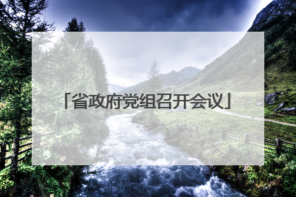 省政府党组召开会议