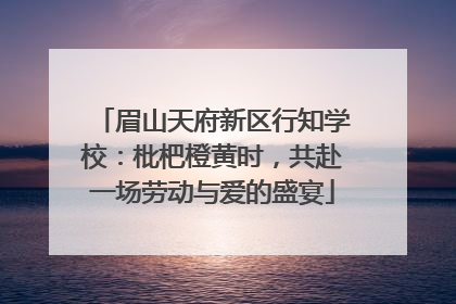 眉山天府新区行知学校：枇杷橙黄时，共赴一场劳动与爱的盛宴