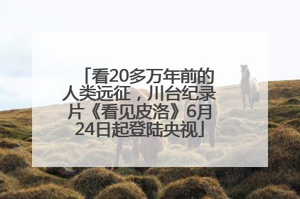 看20多万年前的人类远征，川台纪录片《看见皮洛》6月24日起登陆央视