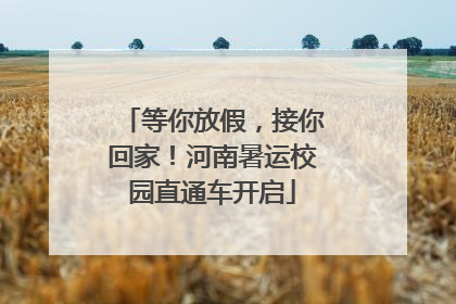 等你放假，接你回家！河南暑运校园直通车开启