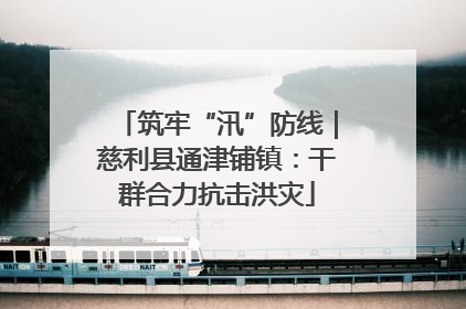 筑牢“汛”防线｜慈利县通津铺镇：干群合力抗击洪灾