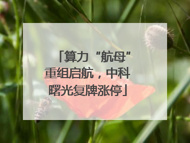 算力“航母”重组启航，中科曙光复牌涨停