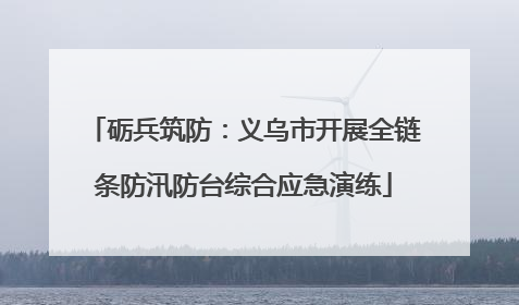 砺兵筑防：义乌市开展全链条防汛防台综合应急演练