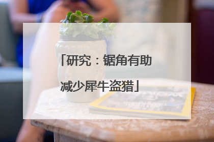 研究：锯角有助减少犀牛盗猎
