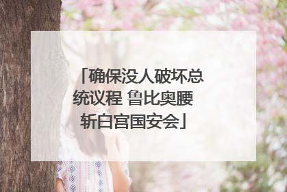 确保没人破坏总统议程 鲁比奥腰斩白宫国安会