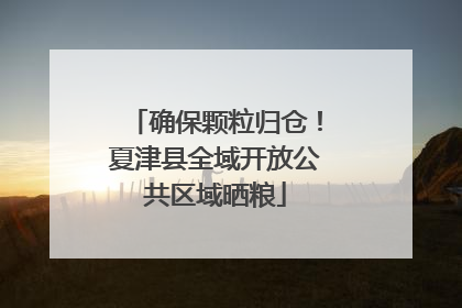 确保颗粒归仓！夏津县全域开放公共区域晒粮