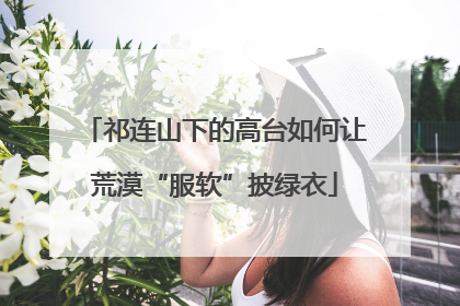 祁连山下的高台如何让荒漠“服软”披绿衣