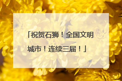 祝贺石狮！全国文明城市！连续三届！