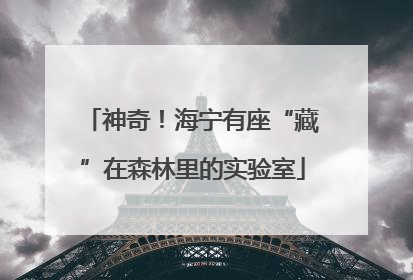 神奇！海宁有座“藏”在森林里的实验室