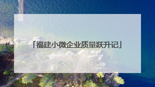 福建小微企业质量跃升记