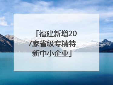 福建新增207家省级专精特新中小企业